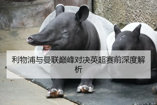 利物浦与曼联巅峰对决英超赛前深度解析